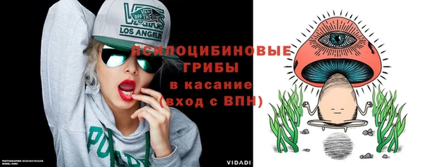 дурь Протвино