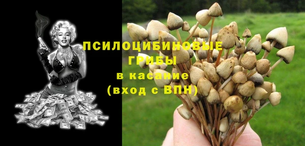 кокаин премиум Алексеевка