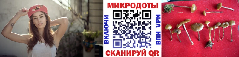 Псилоцибиновые грибы ЛСД  Порхов 