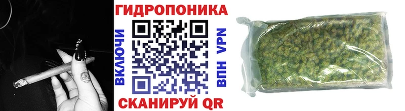 Шишки марихуана конопля Порхов